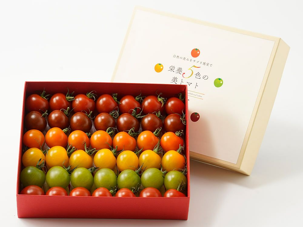 くす美トマト農園・栄養5色の美トマト（約500g） | 安心堂 食のSELECT