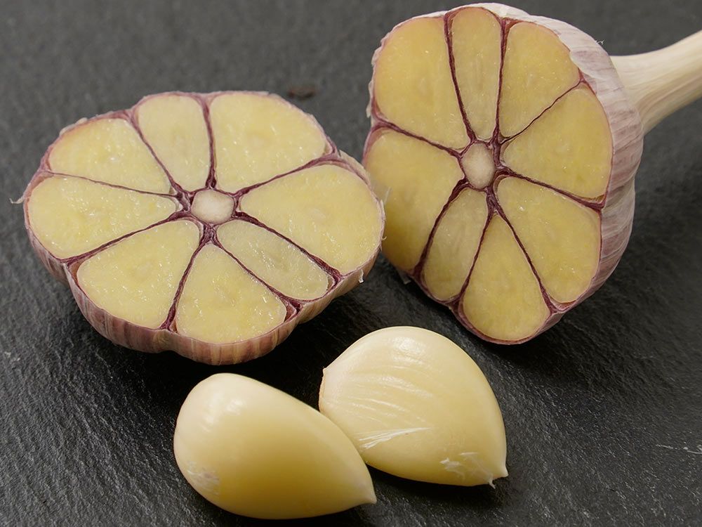 のらファーム・農薬不使用 土佐にんにく | 安心堂 食のSELECTネット
