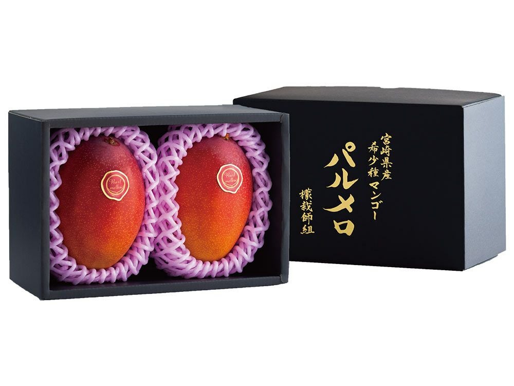 カワノ農園・太陽マンゴー 果実の宝石 2Lサイズ（約400g）×2玉 | 安心