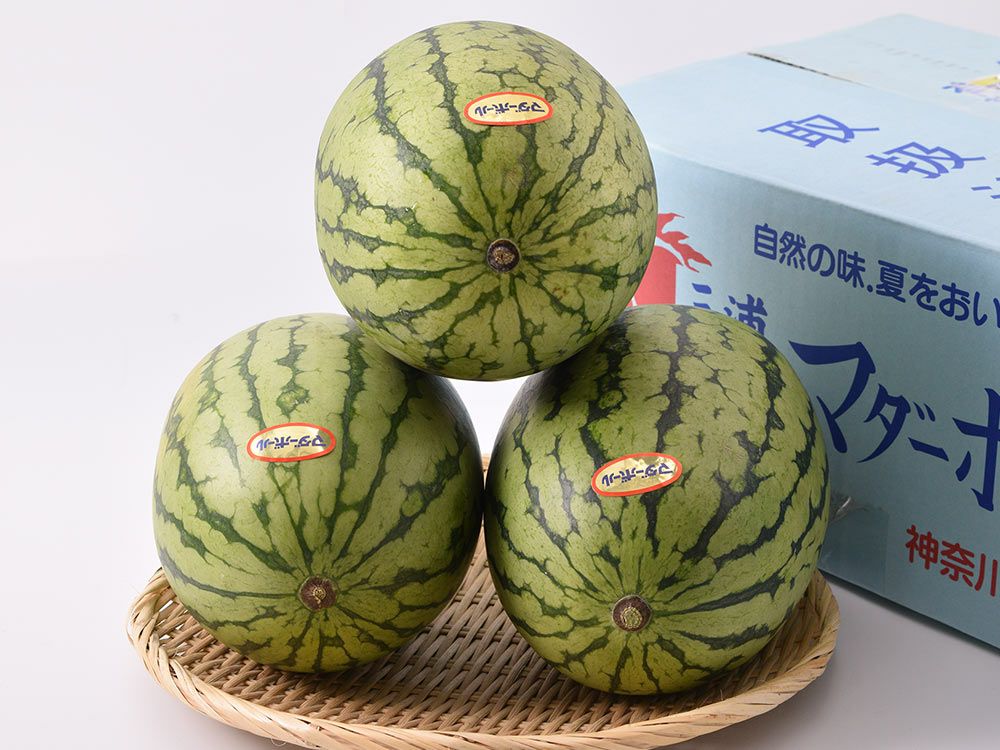 山本農園・八街すいか3L（約8kg） | 安心堂 食のSELECTネットショップ