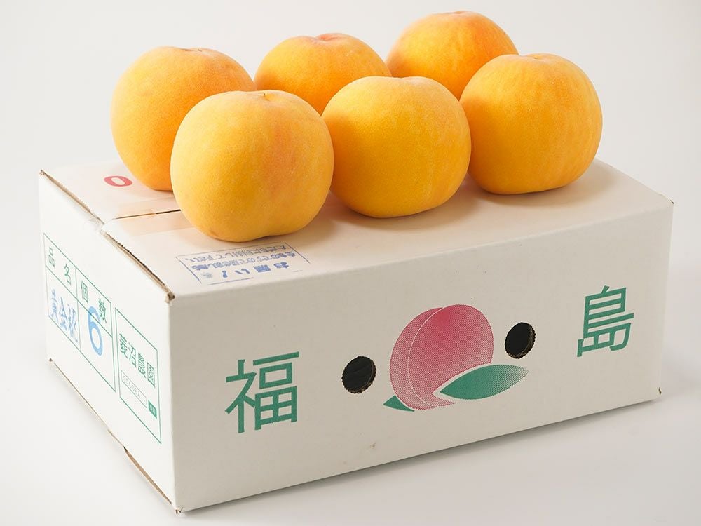 677.福島県産朝採り完熟黄金桃15-22玉入り常温便箱込み約5kg前後ご家庭用 菱沼農園・福島の桃【黄金桃】 | 安心堂 食のSELECTネットショップ