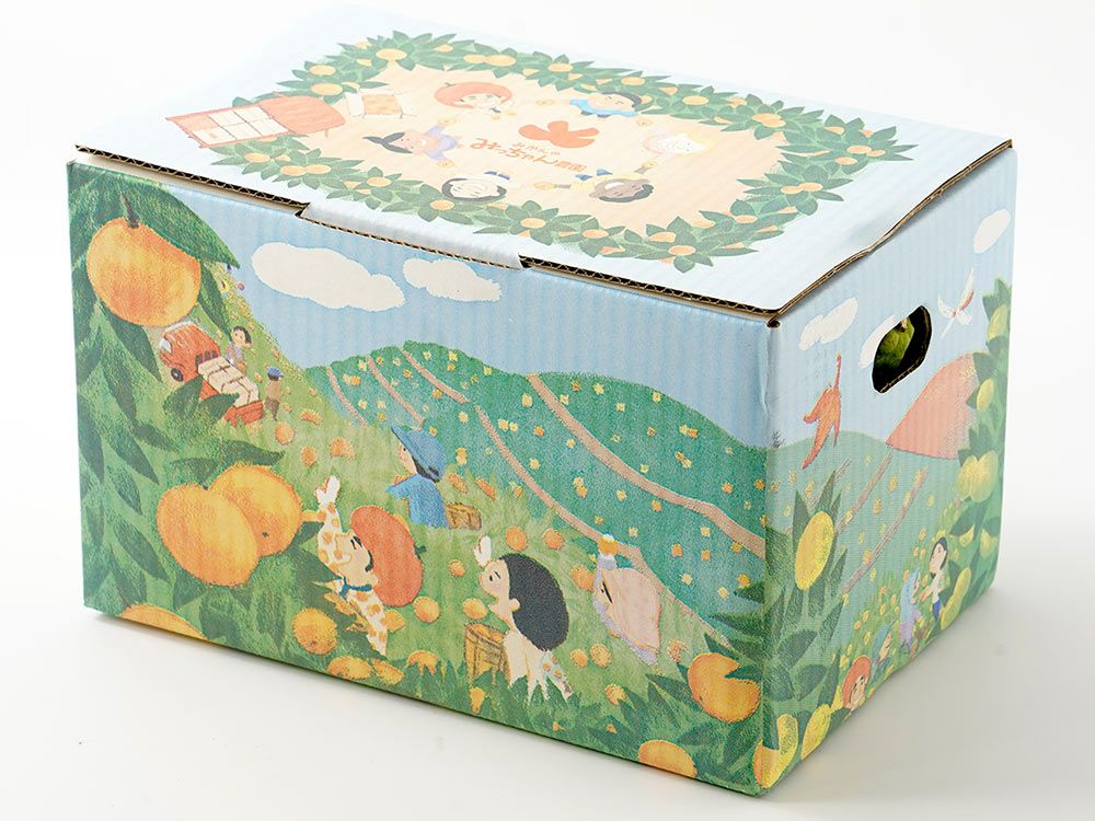 みかんのみっちゃん農園・青みかん（3kg）60～75玉入り | 安心堂 食の