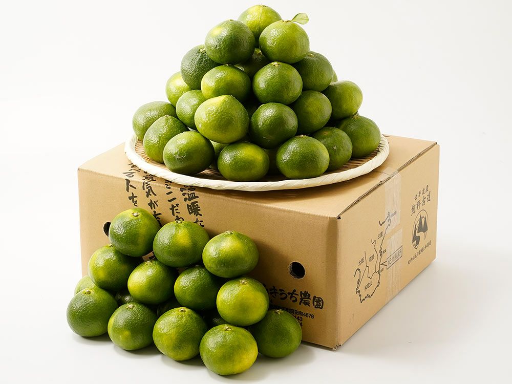 かきうち農園・極早生熊野みかん（7kg） | 安心堂 食のSELECTネット