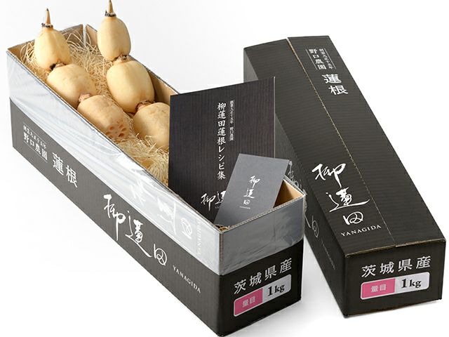 野口農園・柳蓮田蓮根（1kg） | 安心堂 食のSELECTネットショップ