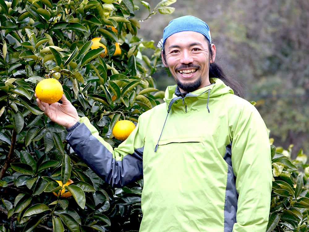 藏光農園・さつきハッサク 特選5玉 超木成り完熟八朔 | 安心堂 食の