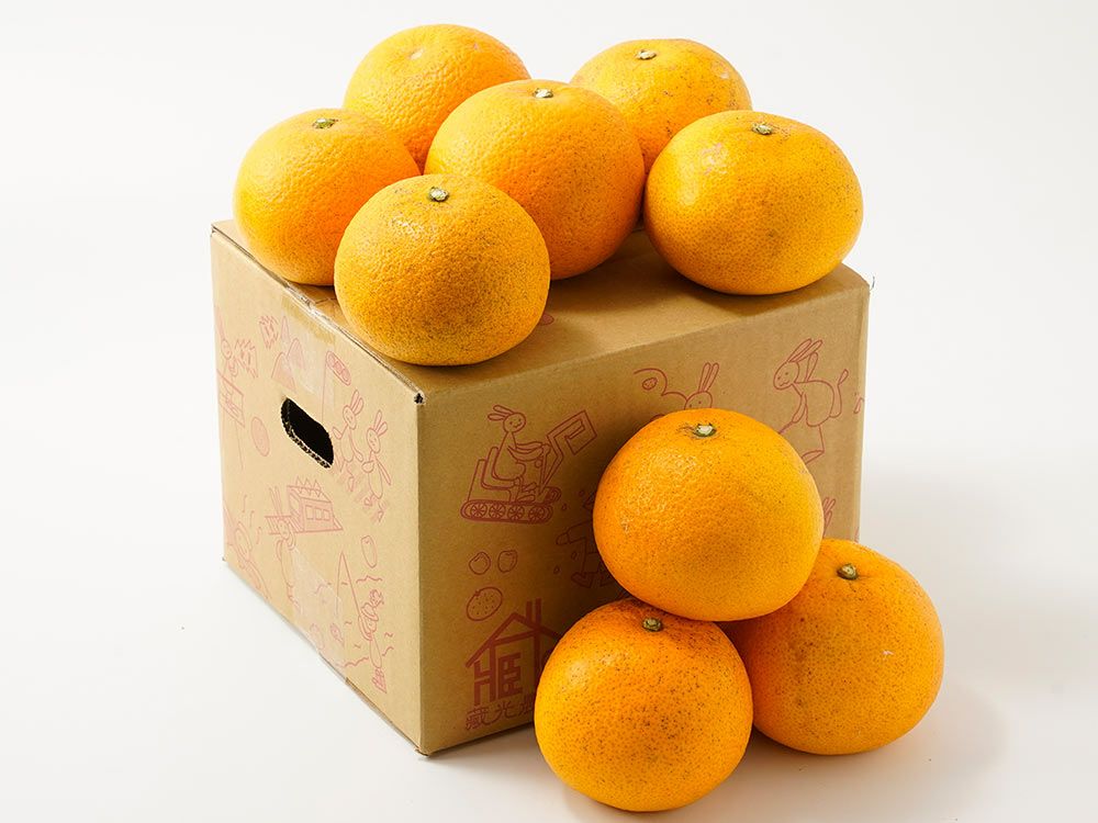 藏光農園・さつきハッサク 3kg（10玉前後）超木成り完熟八朔 | 安心堂