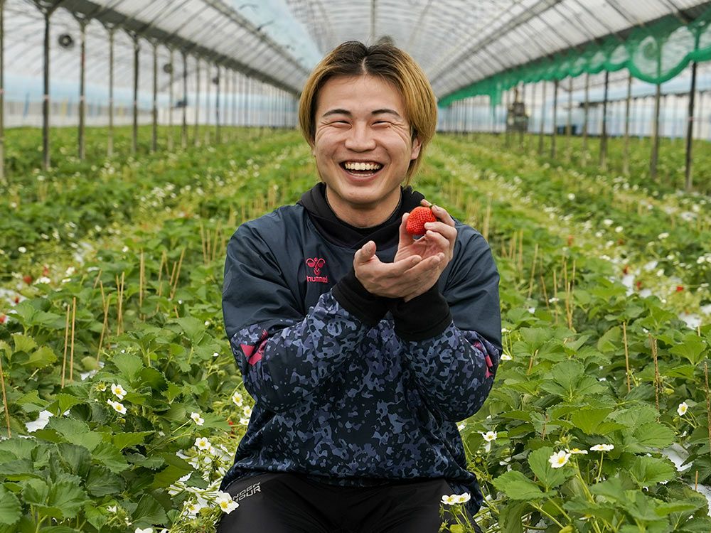 みやざき農園・ひのしずく【贈答用】（300g×2パック） | 安心堂 食の
