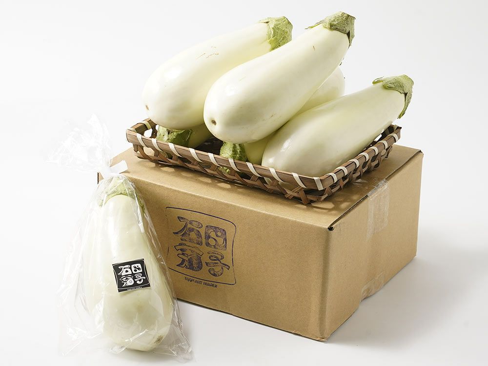 野口農園・柳蓮田蓮根（2kg） | 安心堂 食のSELECTネットショップ