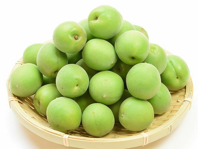 あすなろファーム・小田原曽我の無農薬青梅【白加賀】 | 安心堂 食の