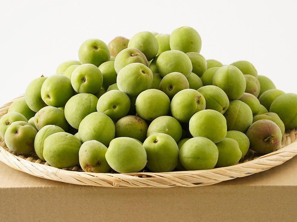ミツバチが育む山郷・日本ミツバチの自然蜂蜜（100g） | 安心堂 食の