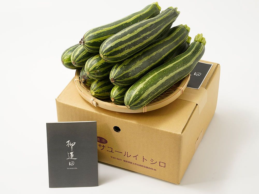 はるな山麓農cafe・自然栽培青梅10kg【白加賀】 | 安心堂 食のSELECT
