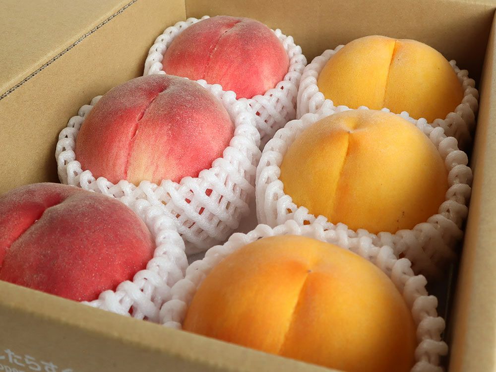 桃珊瑚 大北農園・桃 珊瑚と琥珀セット（2kg） | 安心堂 食のSELECTネットショップ