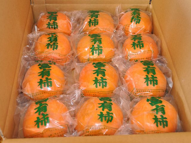 はるな山麓農cafe・自然栽培青梅10kg【白加賀】 | 安心堂 食のSELECT
