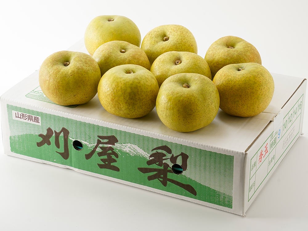 佐藤農場・有機栽培ぽんかん（10kg） | 安心堂 食のSELECTネットショップ