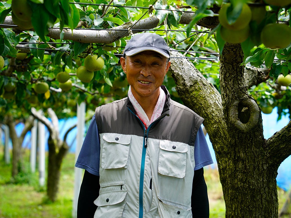 佐藤喜右エ門・刈屋梨【秀玉】3kg | 安心堂 食のSELECTネットショップ