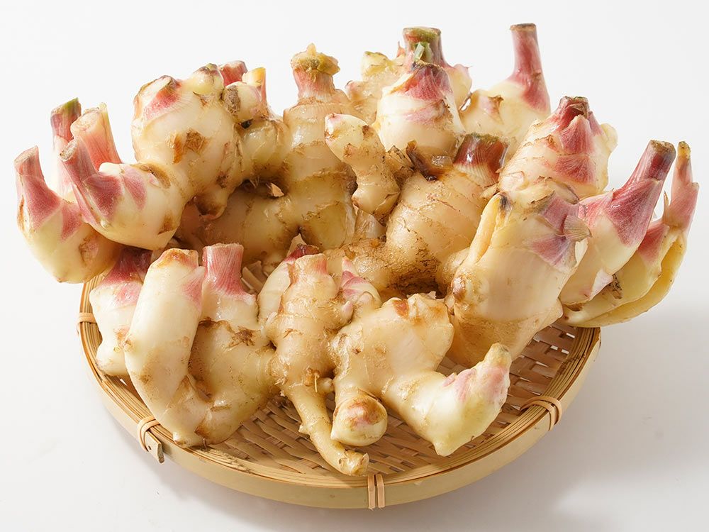 Awaji Nature Farm・淡路島産新生姜（5kg） | 安心堂 食のSELECTネット