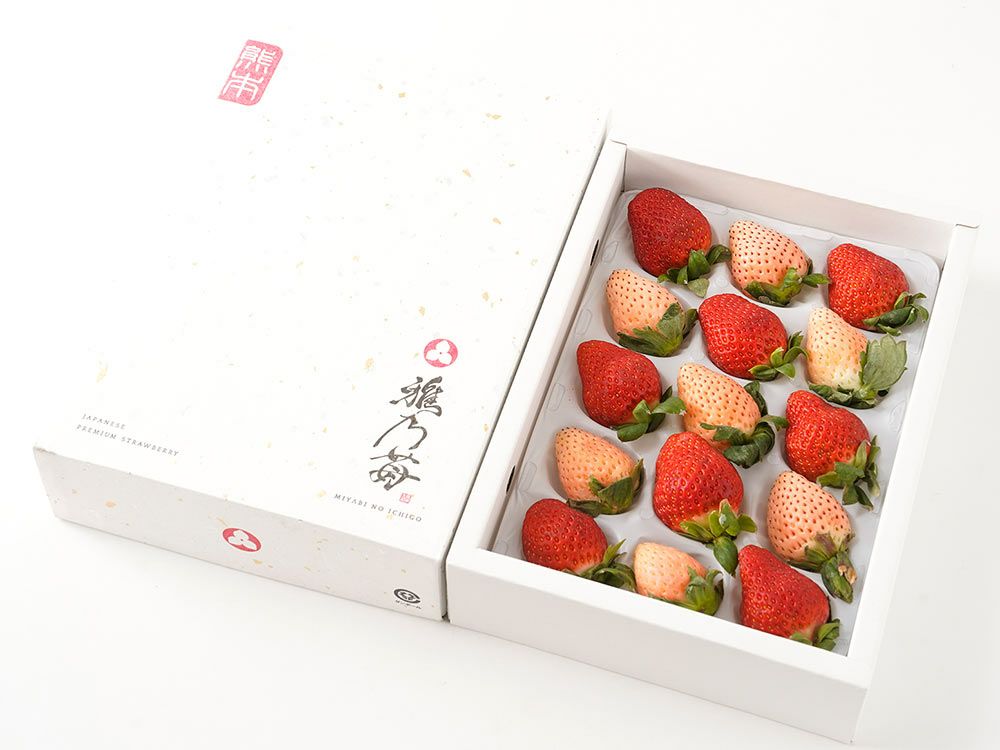 矢島農園・完熟苺 彩のあまりん（250g×2パック）第4回全国いちご選手権