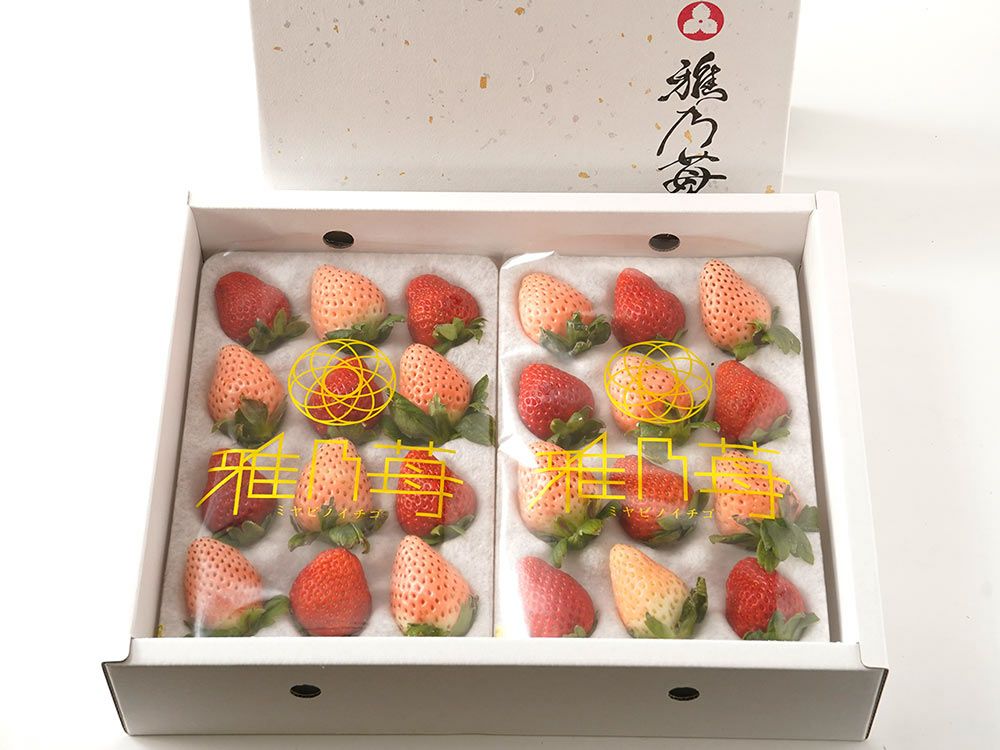 雅乃苺 | 安心堂 食のSELECTネットショップ