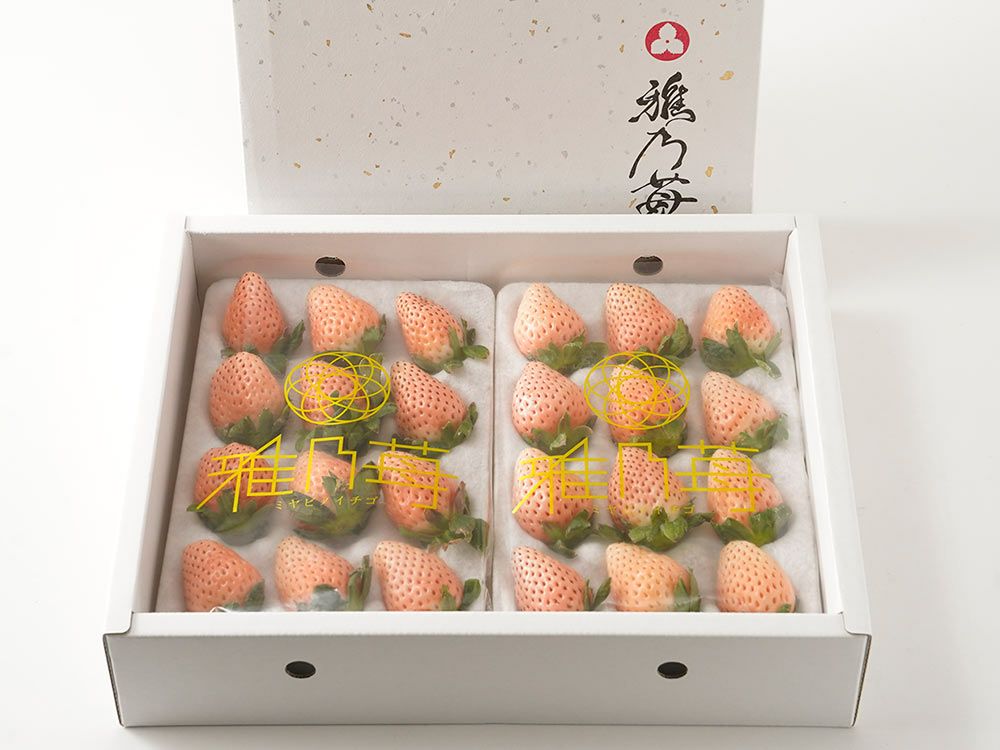 マルカベジフル・高糖度苺 The Berry【みくのか】2パック入り | 安心堂