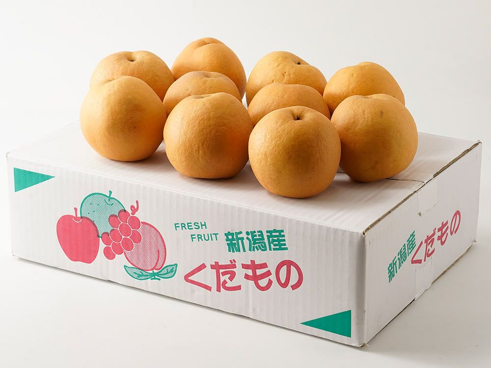 生産者直送パール柑4L以上10kg農薬・化学肥料不使用❣️ ◎農薬不使用で育てたパール柑（文旦系品種) 5キロ ｜ 果物/オレンジ