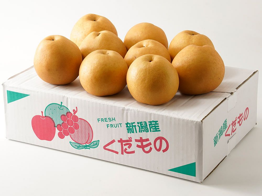 小森果樹園・プレミアムりんご はるか（5個入り） | 安心堂 食のSELECT