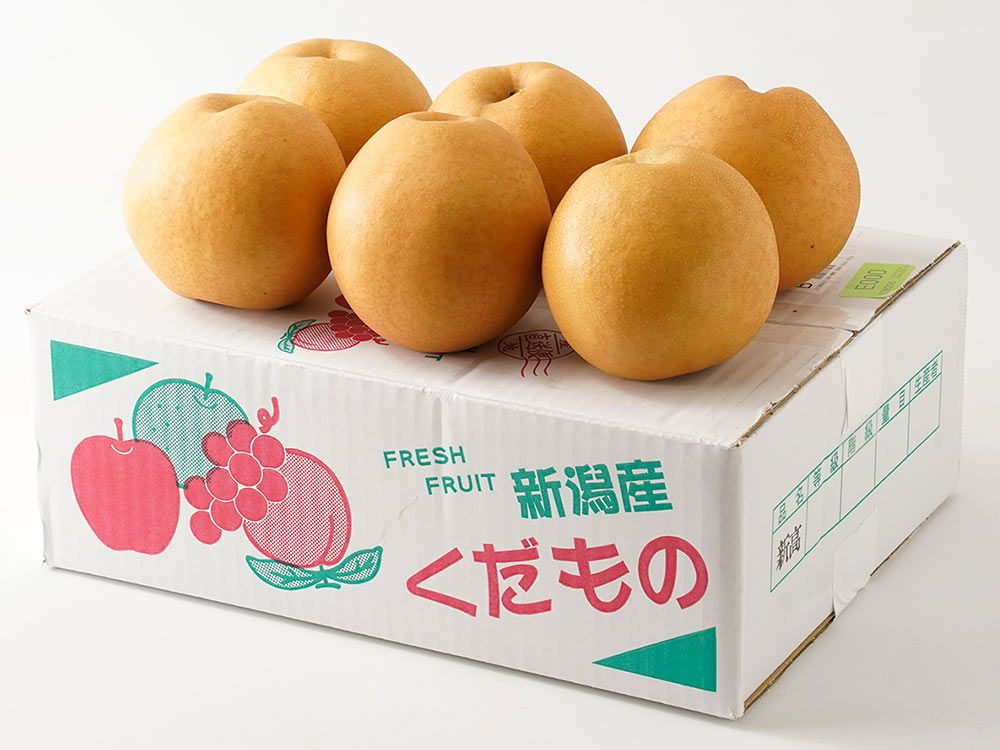 大矢野有機農産物供給センター・天草産パール柑【大玉】（7kg）12玉
