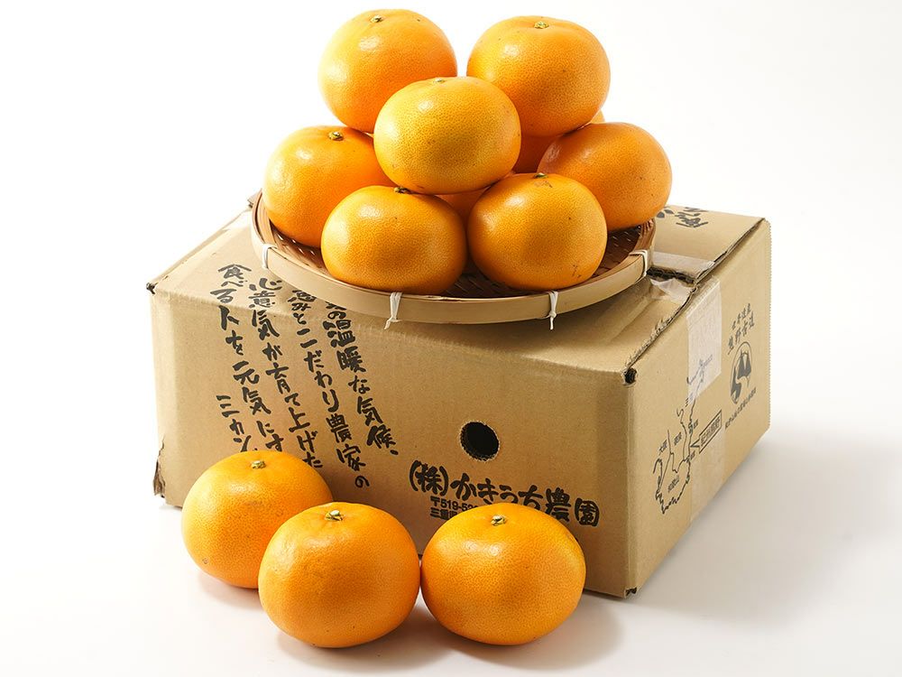 せとか20㎏(家庭用)ナッツ せとか | 安心堂 食のSELECTネットショップ