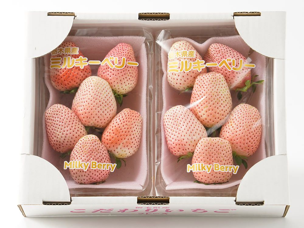 常吉いちご園・久能石垣いちご【品種：赤い真珠】（約330g×2パック