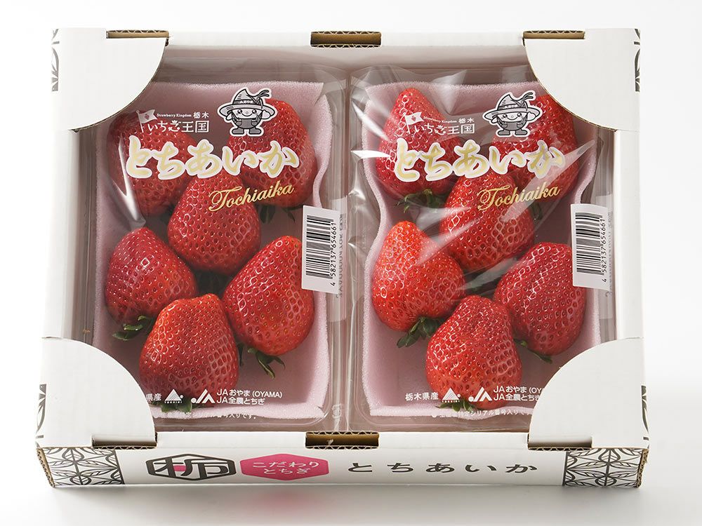 フレーズ・こだわり完熟いちご とちあいか（約260g×2パック） | 安心堂