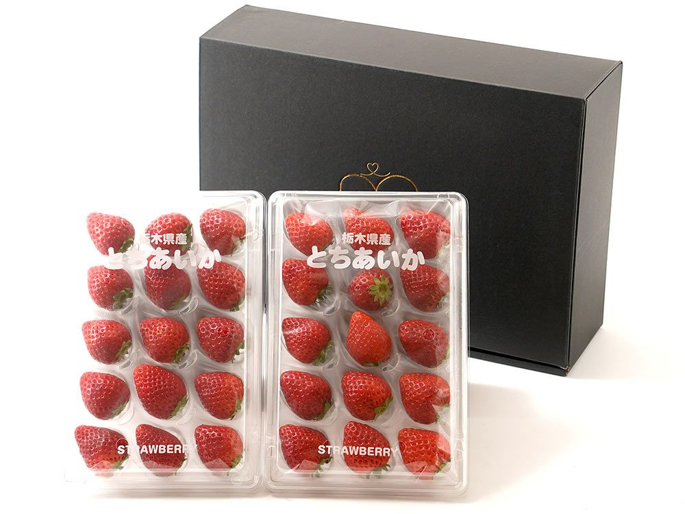 フレーズ・こだわり完熟いちご とちあいか（約260g×2パック） | 安心堂