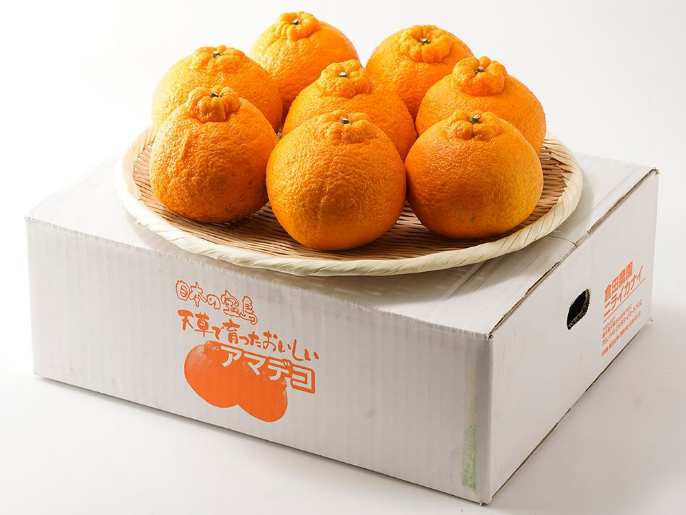 でこぽん・不知火 | 安心堂 食のSELECTネットショップ