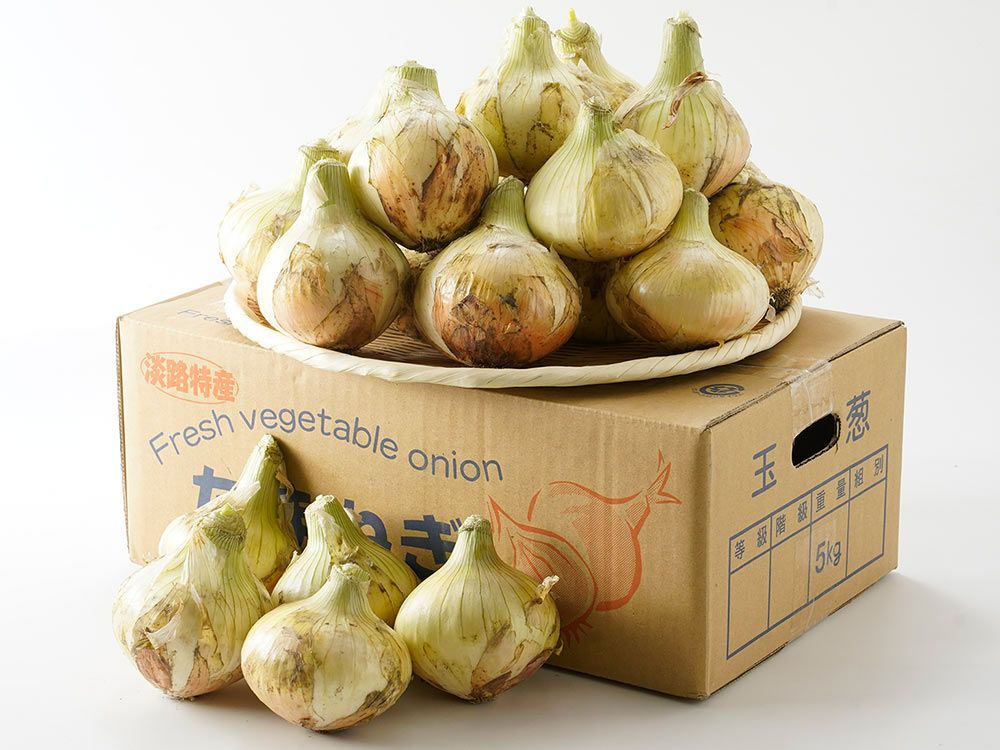 のらファーム・農薬不使用 土佐にんにく | 安心堂 食のSELECTネット