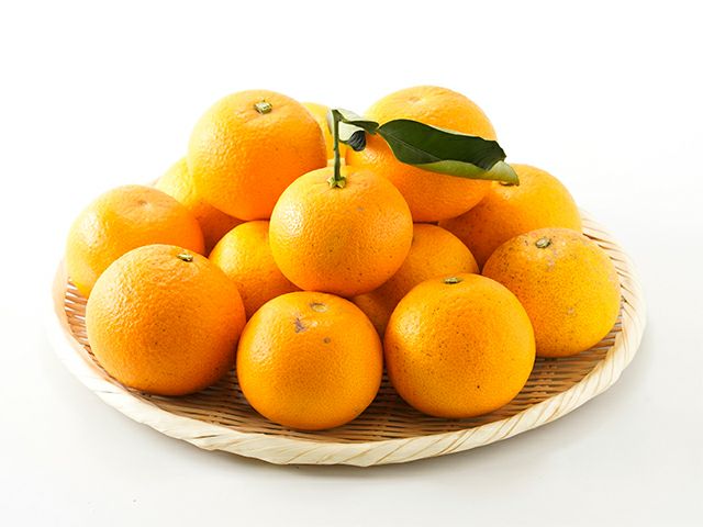 【ペガサスさま　専用】ばあばが育てた完熟新高梨12個＋完熟栗2キロ　セット 藏光農園・さつきハッサク 特選5玉 超木成り完熟八朔 | 安心堂 食の
