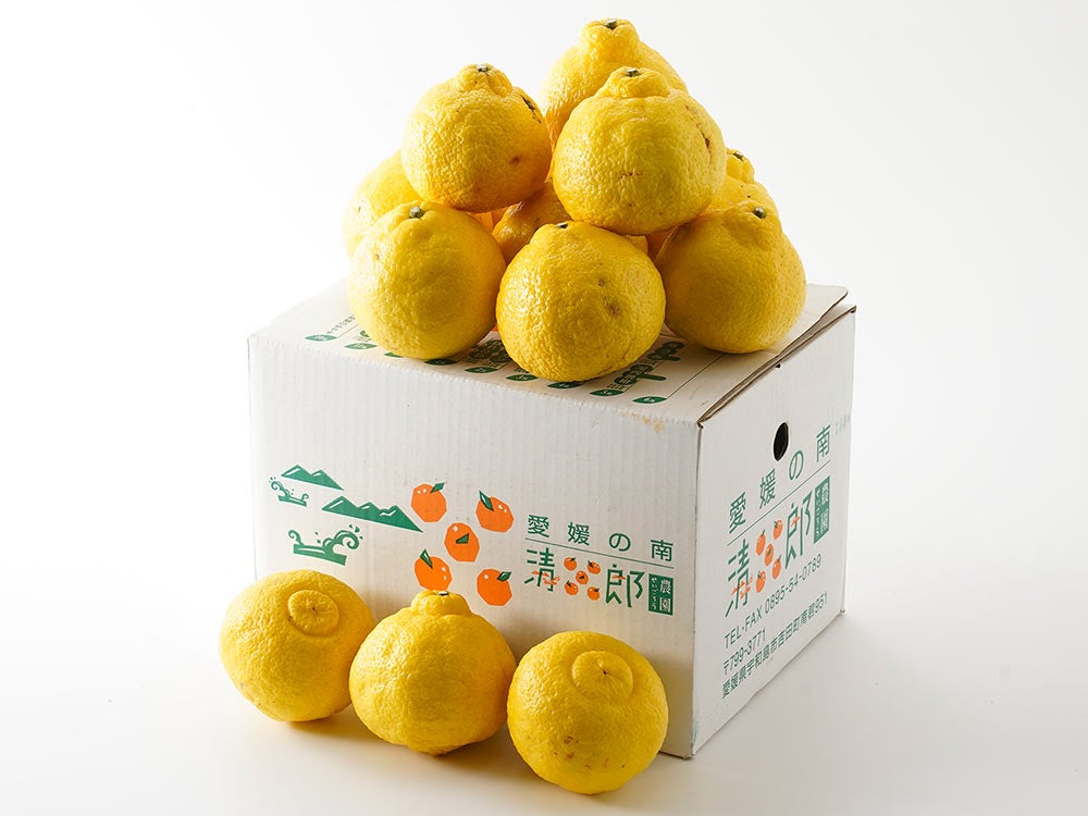 イベント中　和田果樹園の果物　10kg 中田果樹園・みはや【家庭用】10kg（70～80玉） | 安心堂 食のSELECT