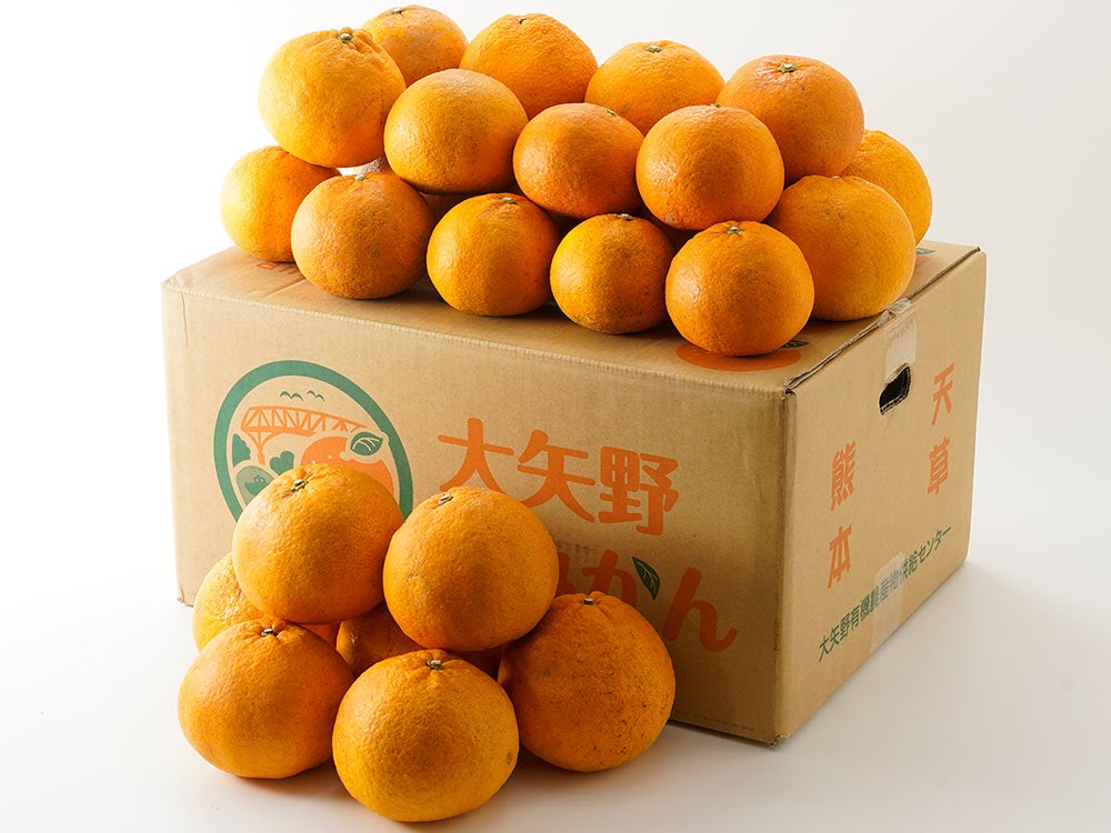 まるまつ農園・超熟みかん【優品】サイズミックス（5kg） | 安心堂 食