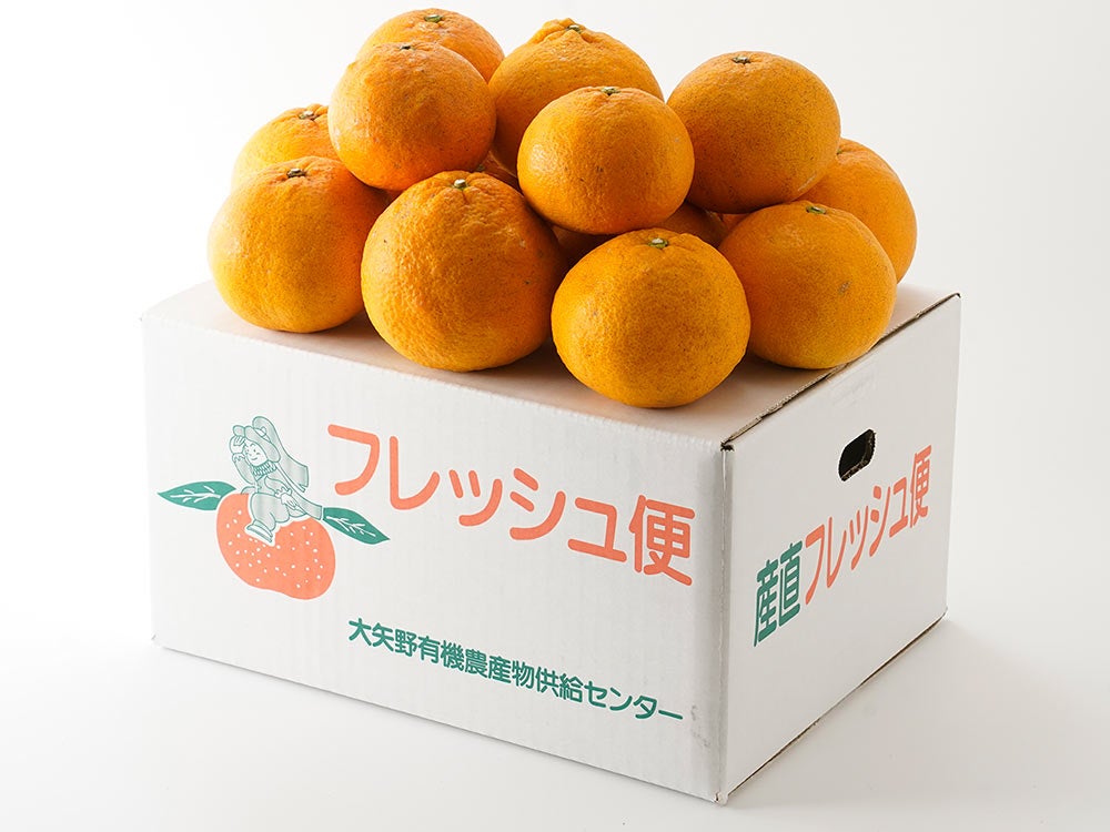 三方丹波栗生産出荷組合・丹波栗（生栗）2Lサイズ・2kg | 安心堂 食の