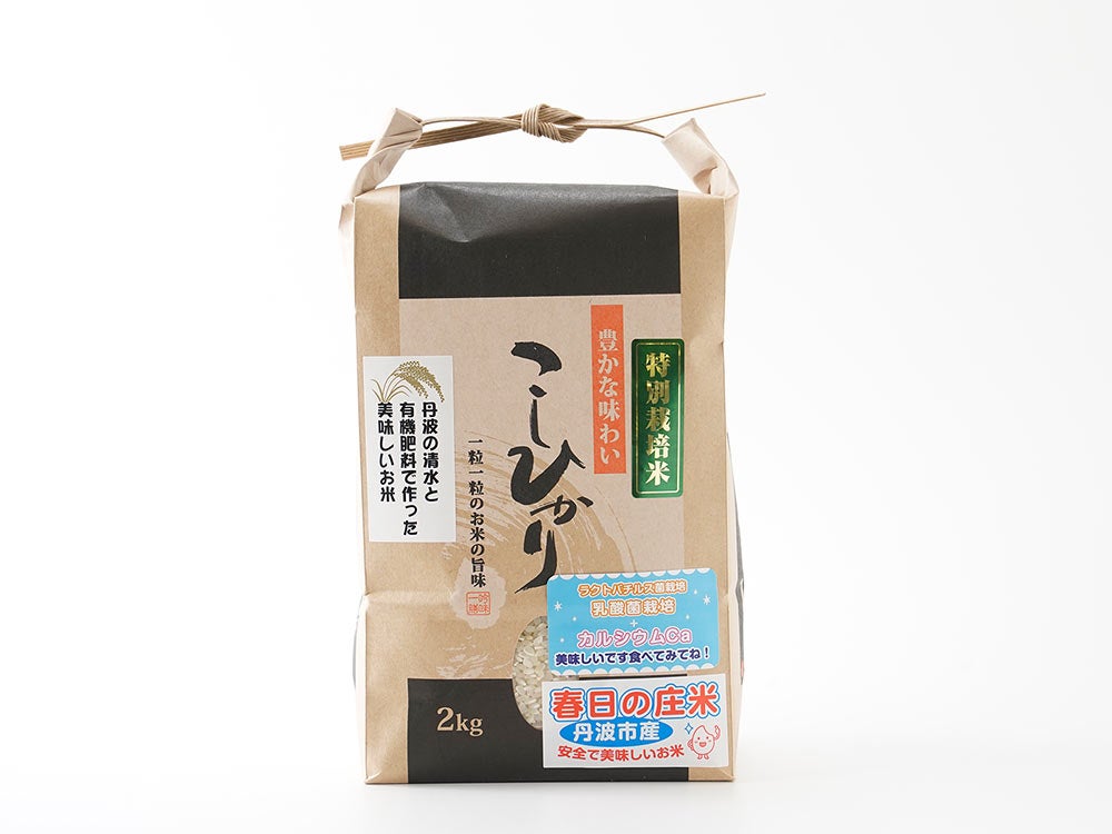 はるな山麓農cafe・自然栽培青梅10kg【白加賀】 | 安心堂 食のSELECT