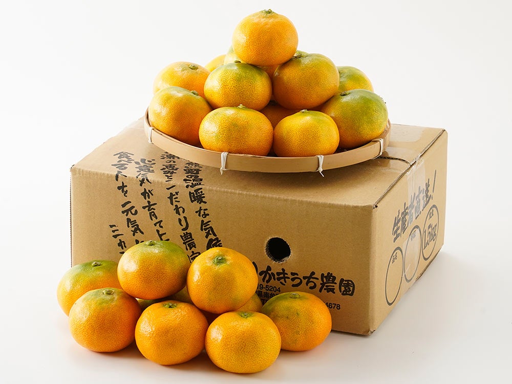 市橋農園・屋久島たんかん（3kg）20玉【6年連続金賞受賞】 | 安心堂 食