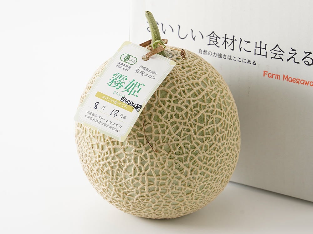 あすなろファーム・小田原曽我の無農薬 黄熟梅【十郎】 | 安心堂 食の