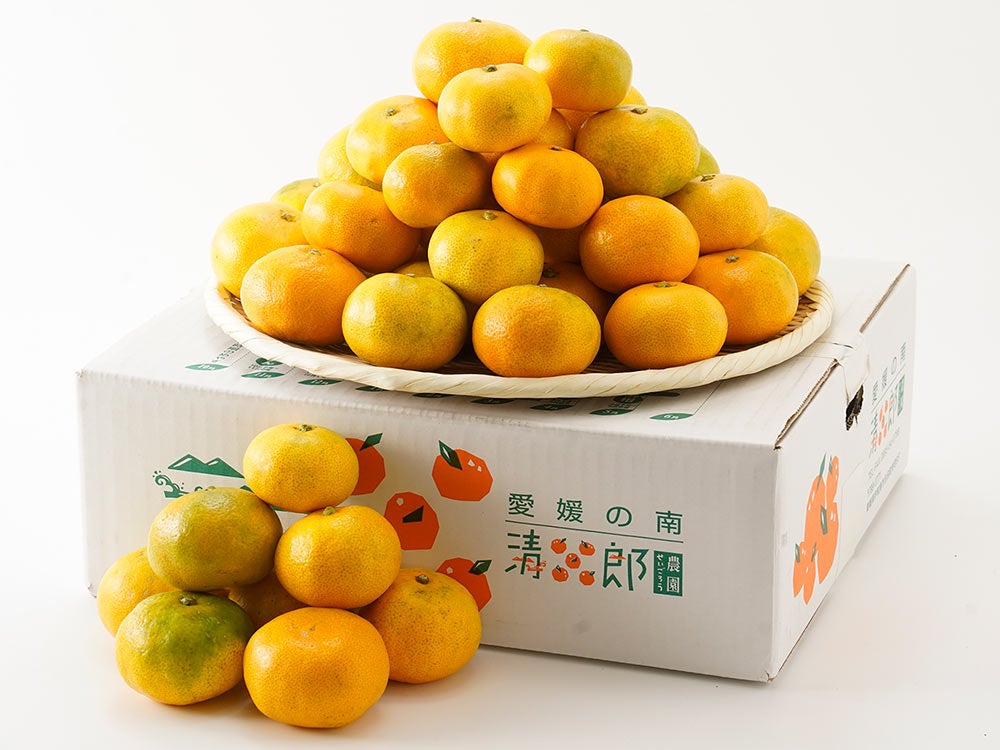 清五郎農園・極早生温州みかん日南（S～Lサイズ混載） | 安心堂 食の